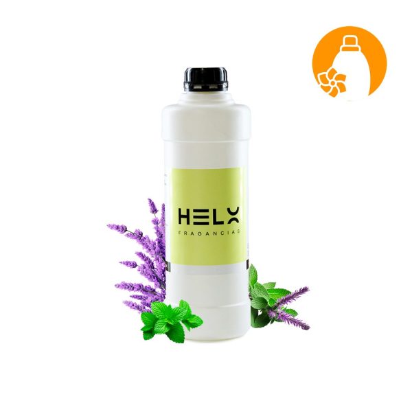 Lavanda