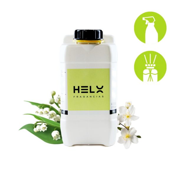 Perfumina Auto Nuevo en envase 5 Litros — formato 5 L pensado para uso comercial y emprendedores.