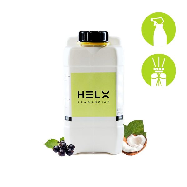 Perfumina Hojas de Higo y Cassis en envase 5 Litros — formato 5 Litros para emprendedores y uso comercial.