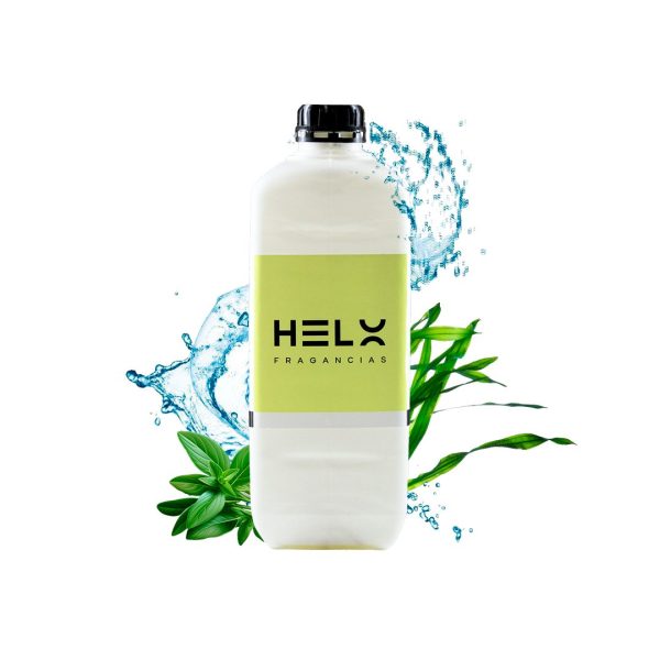 Salvia y Algas Marinas - Imagen 2